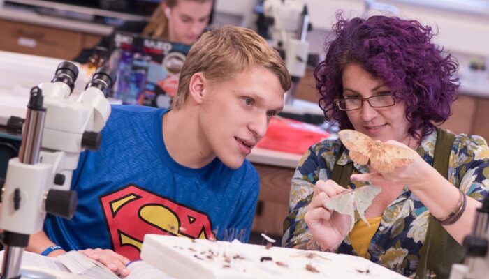 What could I do if I studied ecology?