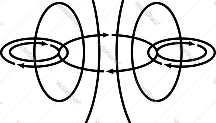 Is an electromagnetic field a vector field?