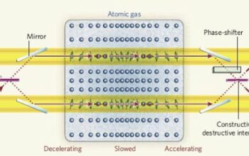 Memory Locked in a Knot: First Entangled Memory Achieved