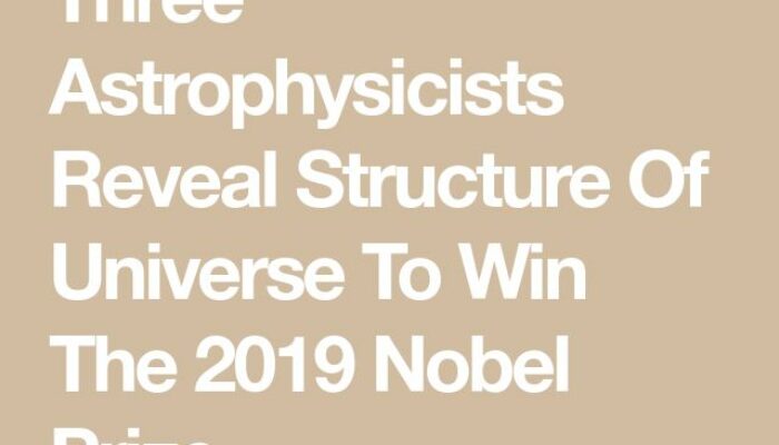 Astrophysicists Win Euro Prize: Rewarded for Rethinking the Universe