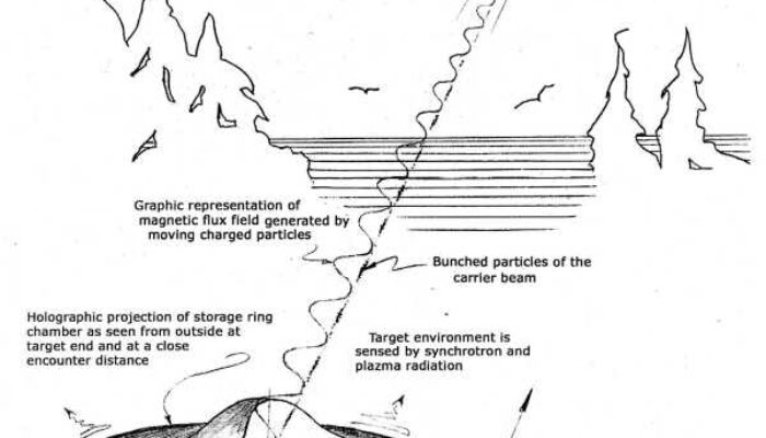 Are Particle Accelerators dangerous?