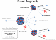 What particle fragments are arising from nuclear fission?