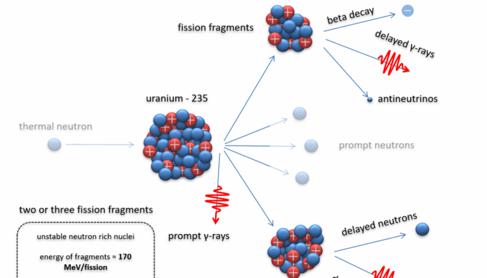 What particle fragments are arising from nuclear fission?