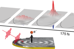 Crystals That Catch Light: Pulses Trapped in Time