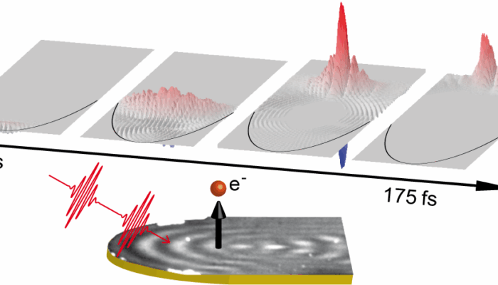 Crystals That Catch Light: Pulses Trapped in Time