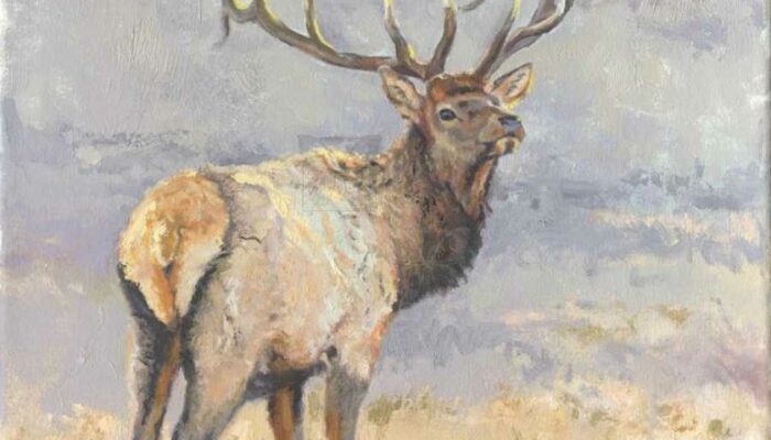 Thoughts of an Astronomy Master: Gazing Beyond the Known