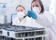What uses are predicted for Graphene?