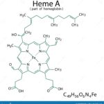 Chemistry: What do the molecular orbitals of heme look like?