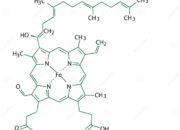 Chemistry: What do the molecular orbitals of heme look like?