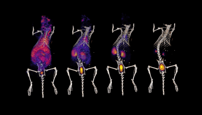 What are some types of molecular imaging?