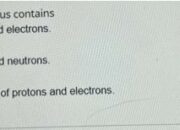 What holds all the protons and neutrons in the nucleus?