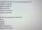 Which particle has the lowest penetrating power?