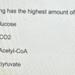 Which molecule can store the highest amount of energy?