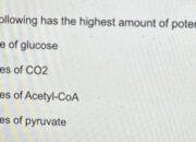 Which molecule can store the highest amount of energy?