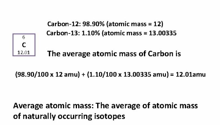 What is the importance of atomic mass unit(amu)?