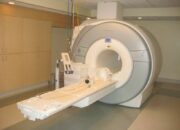 Should I Study Biomedical Engineering? A Look Into the Future of Medicine