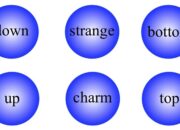 Is the mystery of the universe in the elementary particle?