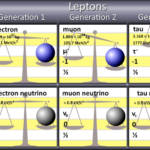 Are leptons thought to be fundamental particles because?