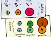What is a hedron lepton and quark?