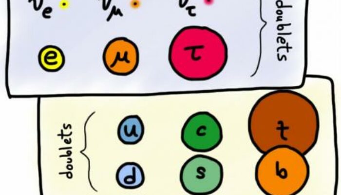 What is a hedron lepton and quark?
