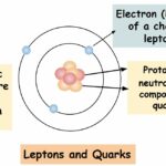 What are Leptons made of?