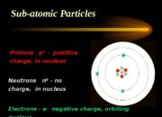 What class of particles do protons and neutrons belong to?