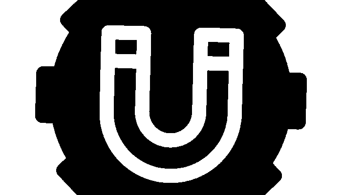 A Year of Physics: Setting the Goals