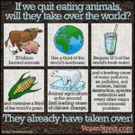 Is being a vegetarian really environmentally friendly?