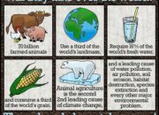 Is being a vegetarian really environmentally friendly?
