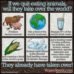 Is being a vegetarian really environmentally friendly?