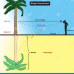 Chiral Liquids Bend Light: Optical Physics Gets a Spin