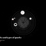 What are the different types of quarks?