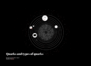 What are the different types of quarks?