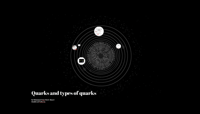 What are the different types of quarks?