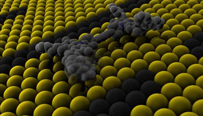 A Nanocar Takes to the Road