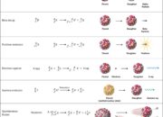 Chirality Turns Up in the Nucleus: Nuclear Physics Gets Twisted