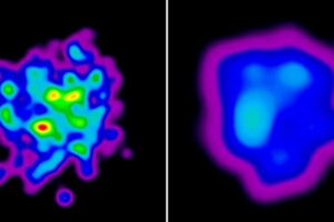 Exciting Times for Heavy Nuclei: Smashing Boundaries in Nuclear Physics