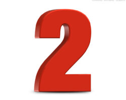 Are Two Dimensional Beings possible?