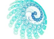 Between Chance and Necessity: Where Physics and Philosophy Collide