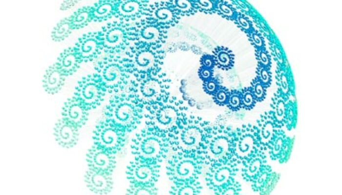 Between Chance and Necessity: Where Physics and Philosophy Collide