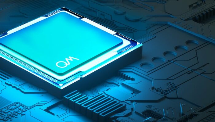 How is a quantum processor supposed to work?