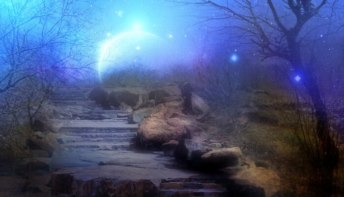 Dreams of a Quantum Pioneer: Visions Beyond Uncertainty