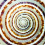 A Remade Tapestry: How Physics Reweaves the Fabric of Reality