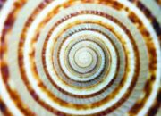 A Remade Tapestry: How Physics Reweaves the Fabric of Reality