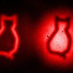 Lights Camera Quantum: Entanglement Passes the Screen Test