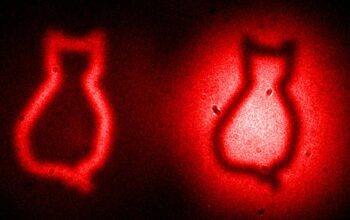 Lights Camera Quantum: Entanglement Passes the Screen Test