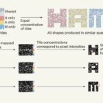 Self-Assembling Transistors? DNA Does It Again