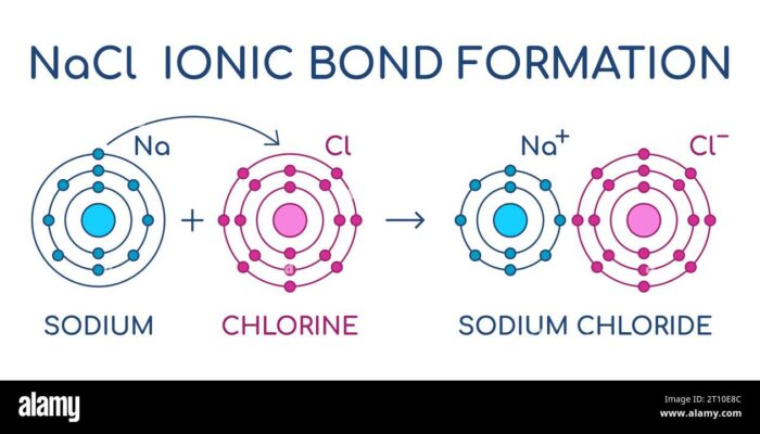 Atomic Attraction: Feeling the Force on a Single Atom