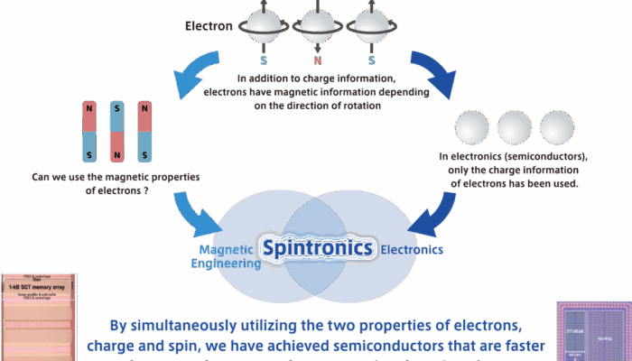 Spintronics from the Cold: Atoms Could Power Future Transistors