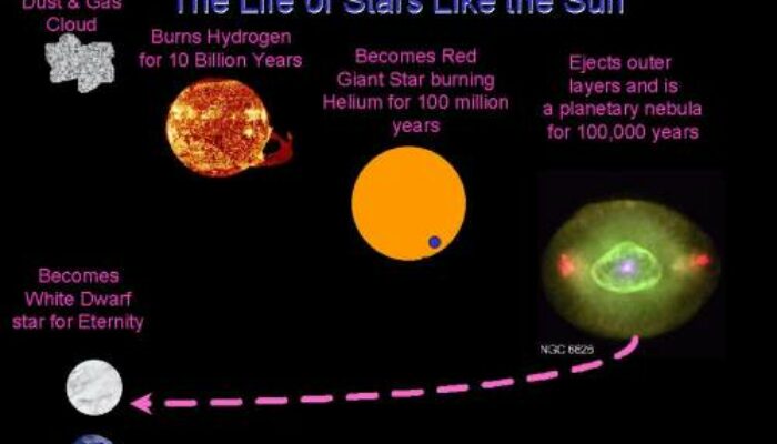 Supernovae Fueled by Darkness? A Bold Hypothesis Emerges
